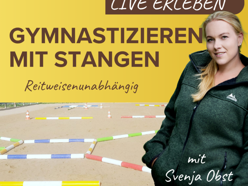 Kurs Gymnastizieren mit Stange