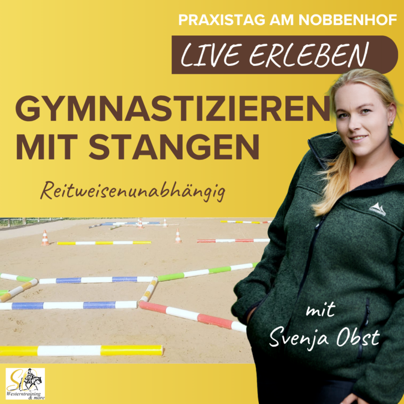 Kurs Gymnastizieren mit Stange
