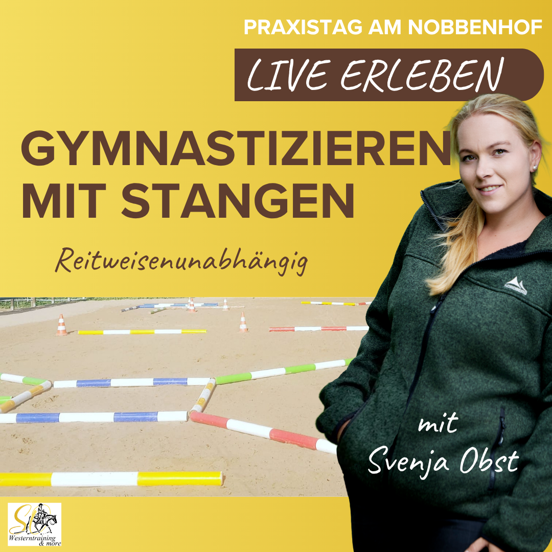 Kurs Gymnastizieren mit Stange