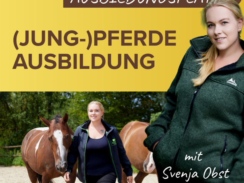 (Jung-)Pferdeausbildung