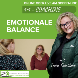 1:1 Coaching Emotionale Balance