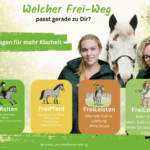 Analyse – Welcher FreiWeg passt zu Dir?